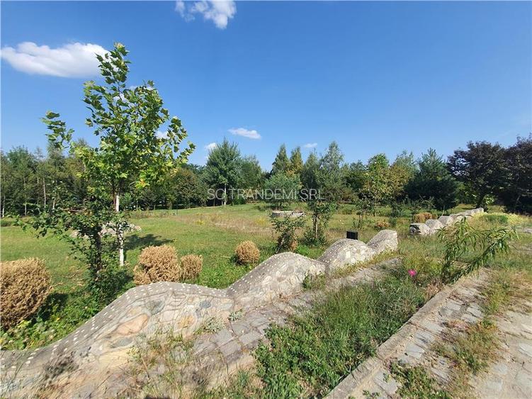 Teren intravilan Sacel -zona lacuri -ultimul lot de 900mp - 19