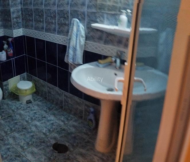 Vila deosebita, libera, zona centrala, ideal resedinta sau clinica, birouri - 11