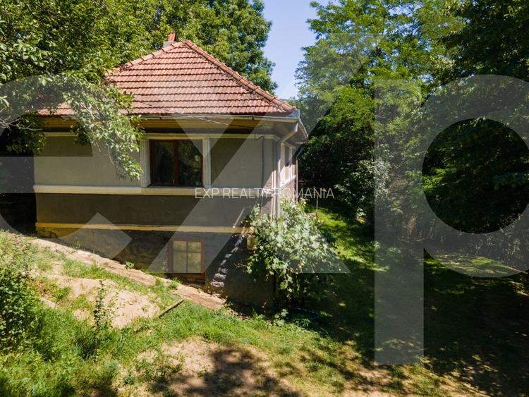 Proprietate cu potențial turistic, în zona Negreni – Bucea, jud. Cluj - 15