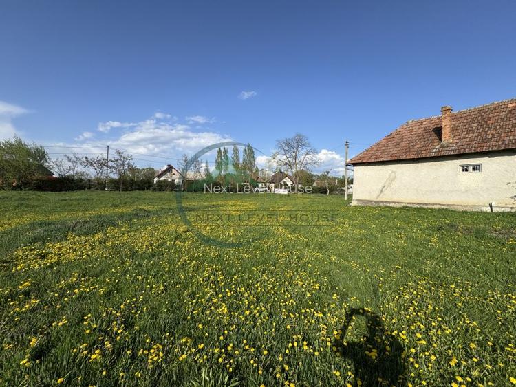 Teren 9500 mp plus Casa plus Anexe Gospodaresti - 6