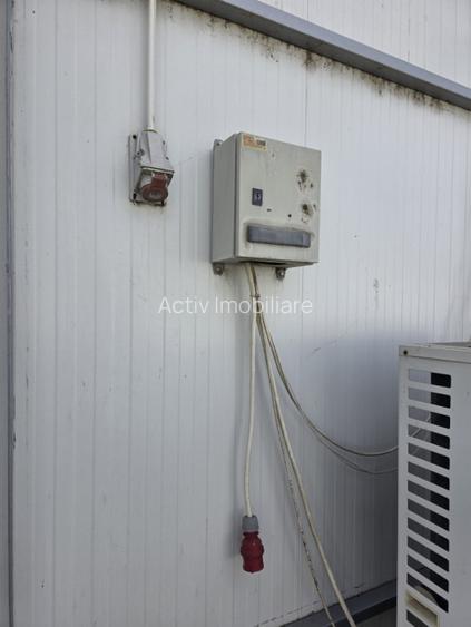Hala industriala noua de inchiriat – Lumina, Constanta - 4
