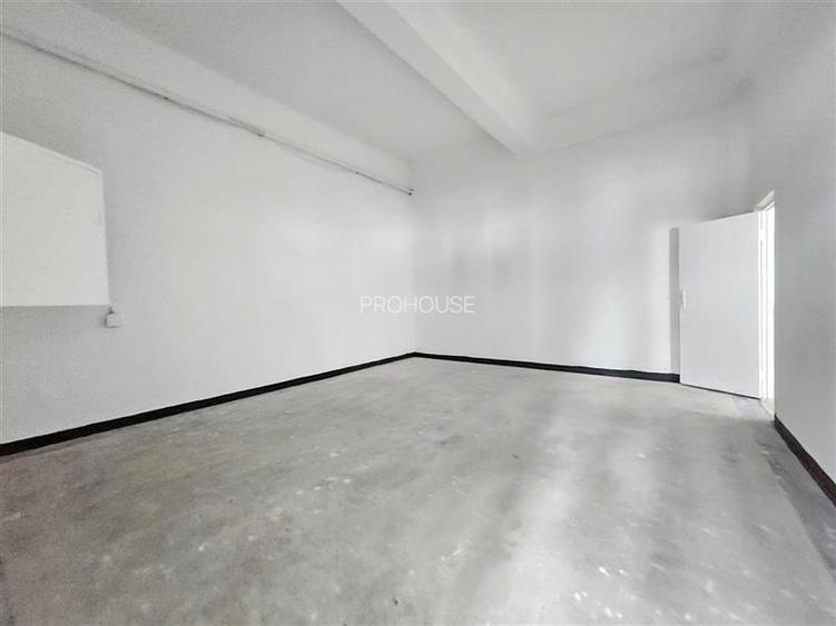 Spatiu Comercial, 250mp, Narcisa-ONIX - 8