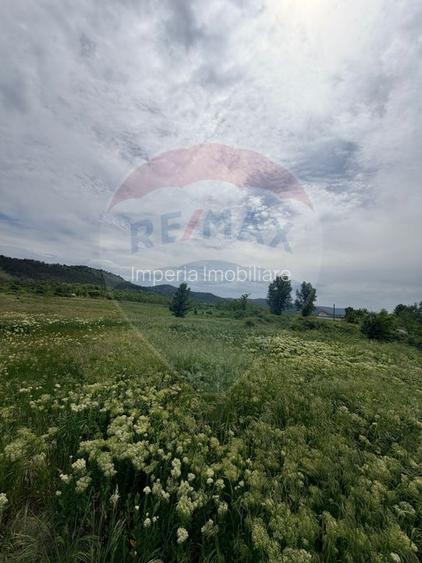 Teren 11,000mp Hinova / DN DN56A - 2