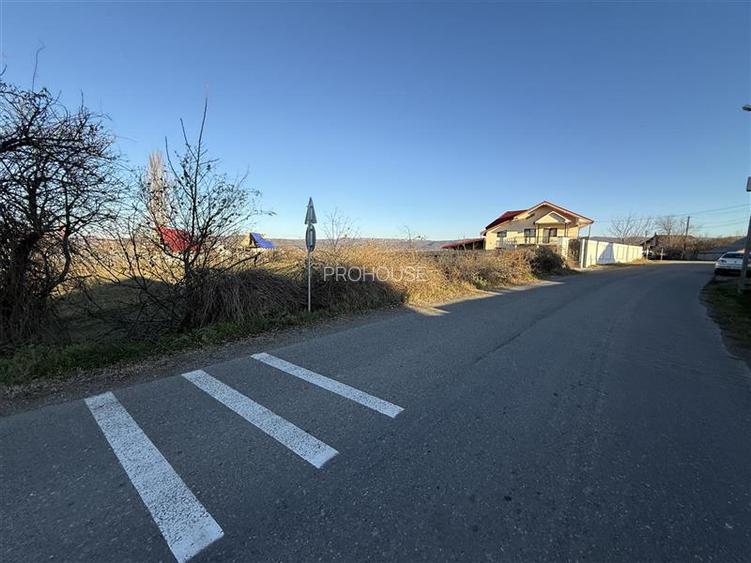 Holt- Letea Veche- teren 1620 mp- stradal 38ml - 3