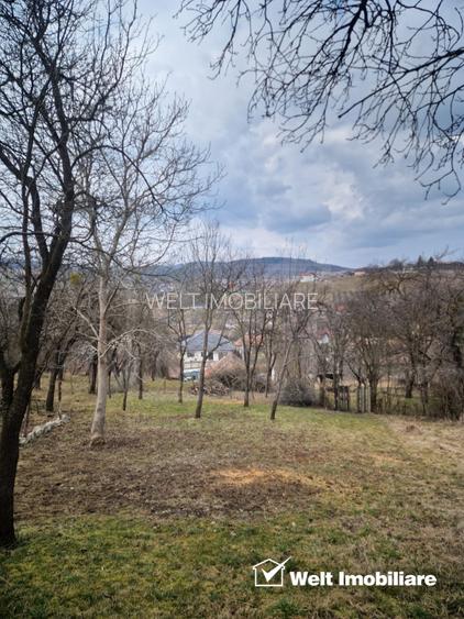 Casa la tara, la 30 min de Cluj – renovata, livada pe rod si teren 1000 mp - 7