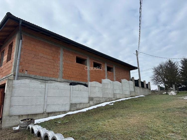 Casa la rosu+teren ST:1800 mp*Pestisu Mare-Deva-Hunedoara+casa veche ! - 8