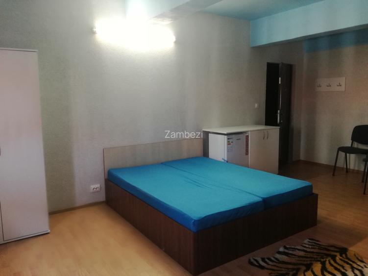 Zona Complex-Medicina, amenajata, mobilata, utilata - 2