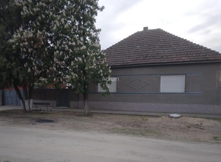 Casa de vânzare in Macea - 2