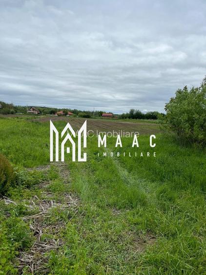 Teren de vanzare | 4.300 Mp | Cristian - 5