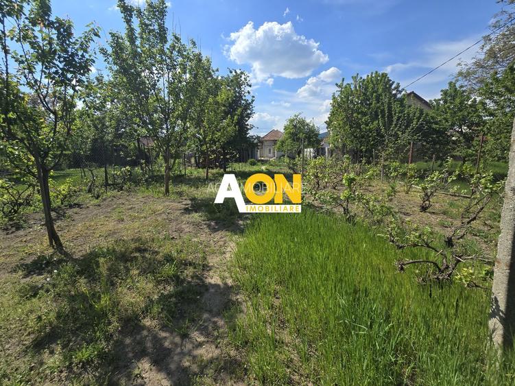 Casa Individuala, 4 Camere 1500mp Teren, Partos - 17