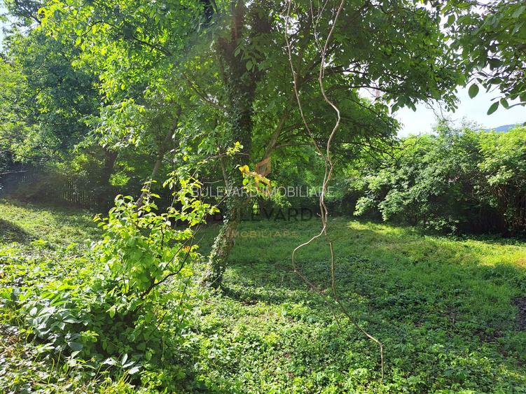 Casa individuala + teren 947 mp - 19