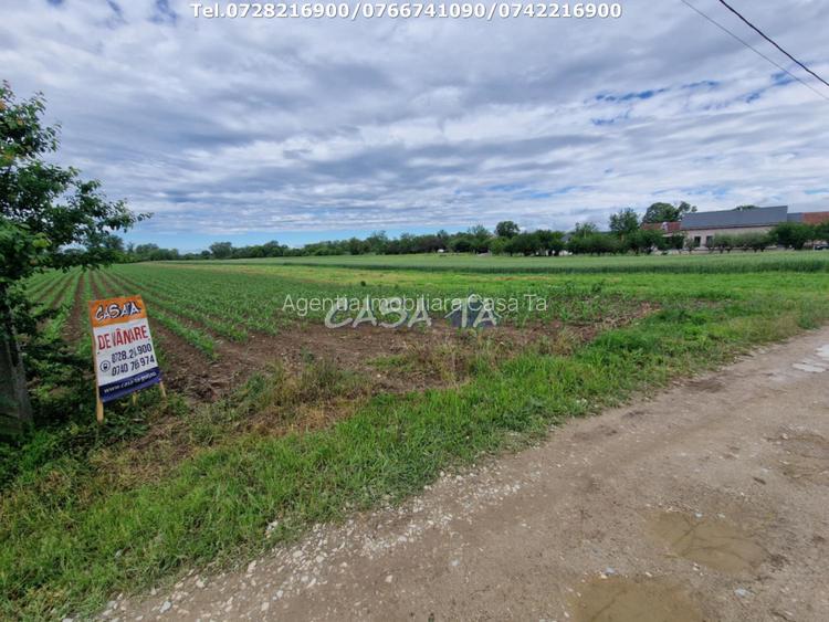 Teren Intravilan (7500 mp),situat in Balesti - Tamasesti - 4