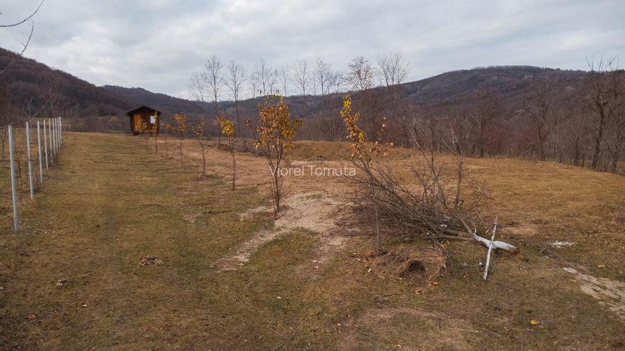 Teren cu suprafața de 5100mp amplasat într-o zonă superbă de munte - 11