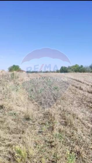 Teren 2,900mp Sat Tantava Strada Tufan - 3