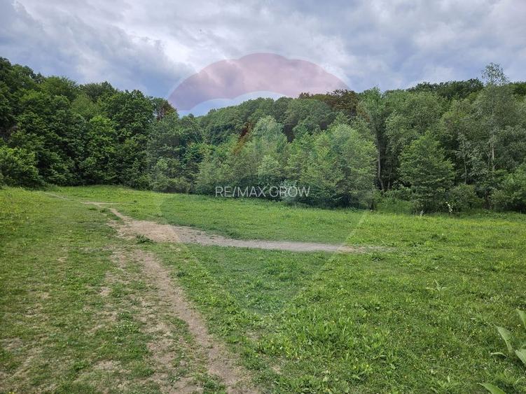 Teren 11,935mp Margineni / Strada Dubas - 7