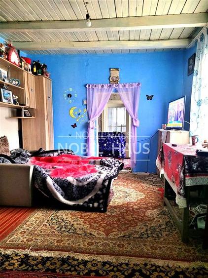 Casa, teren si padure, in sat Siscani, jud Vaslui - 4