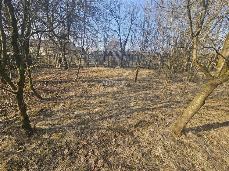 Teren 1000 mp si casa renovabila in Valcanesti . - 6