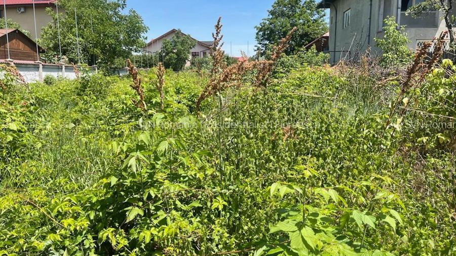 REL4000844 Teren Voluntari Intravilan Pretabil Case Investitie - 10