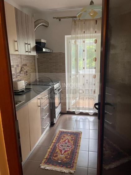 Apartament 2 camere  – zona Nicolina, vis-a-vis de Belvedere-450 euro - 3