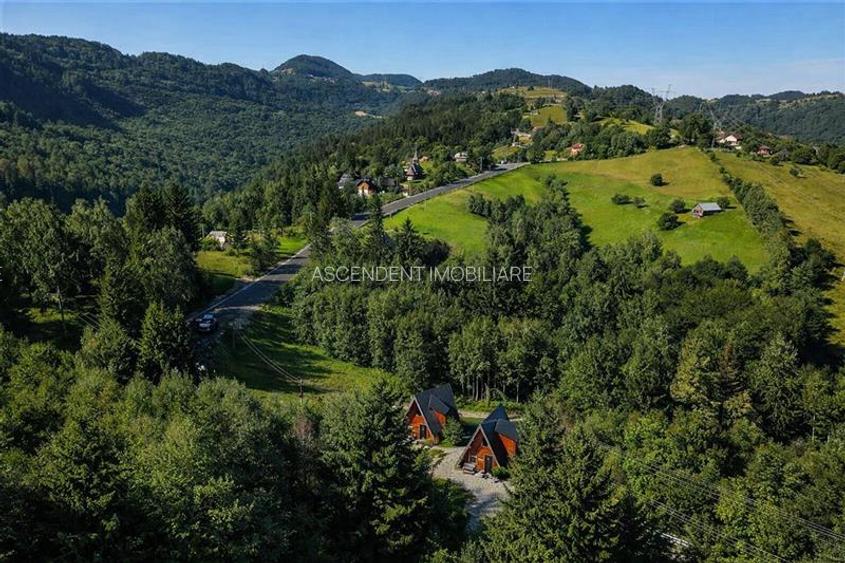 Eleganta,echipata casa A Frame,1.200 mp teren,deschidere Piatra Craiului,Moieciu - 7
