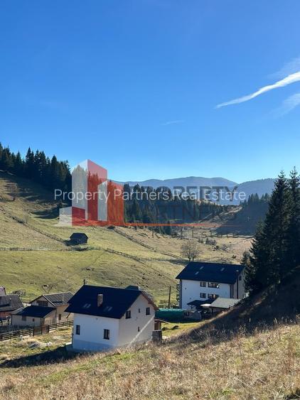 Teren Fundatica intravilan 4500 mp - 8