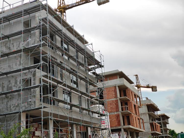 Predare primavara 2026 - 5