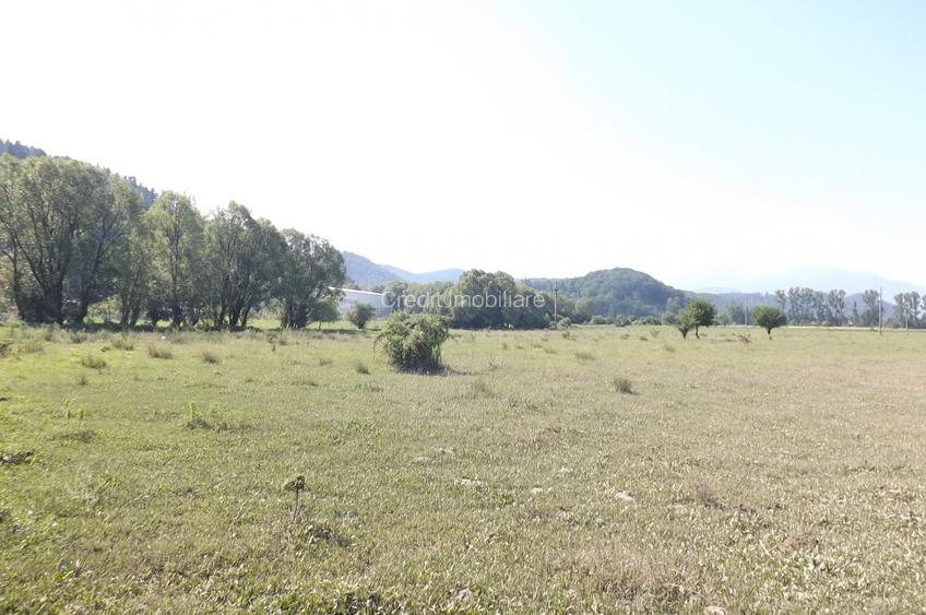 Teren de vanzare - 3