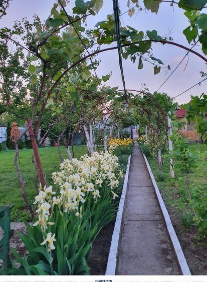 Casa | 9 camere | Garaj | Piscina | Teren 3.000 mp | Comision 0%