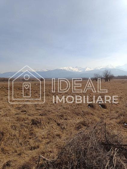 Teren 25.500 mp Valea Avrigului
