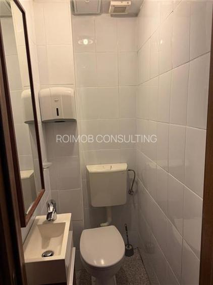 Cismigiu, apartament 2 camere, etajul 4/5 - 12