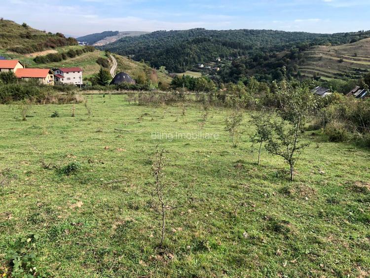 Teren Intravilan cuprins in PUG, 5100 mp, Tauti - 3