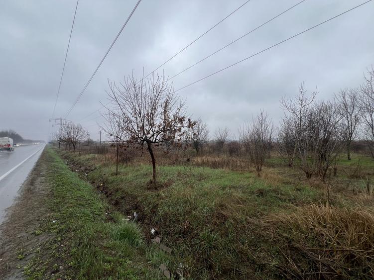 Teren la DN7 - ideal investitie (Benzinarie, spalatorie, hala, rezidential) - 6