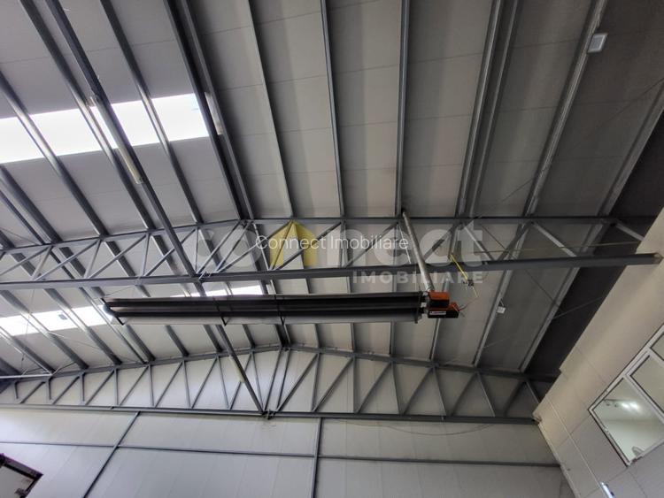 Hala 300mp+birouri 50mp - 11