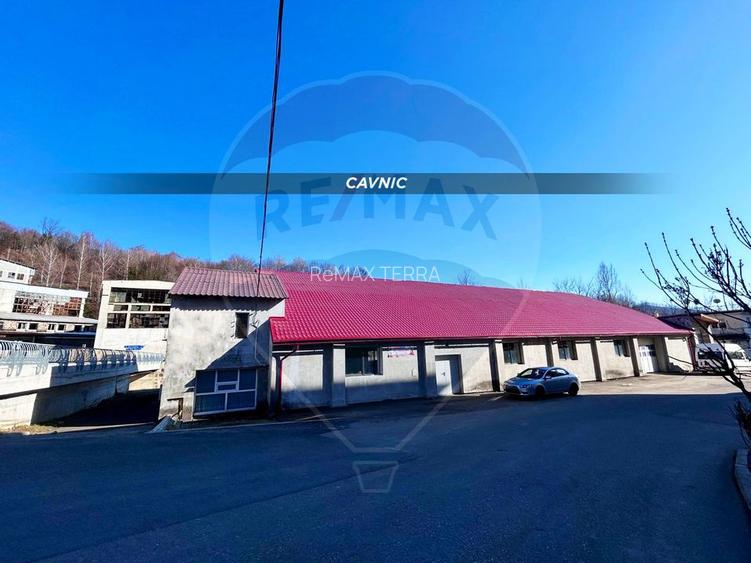 Hala de productie/depozitare DE INCHIRIAT- in Cavnic - 17