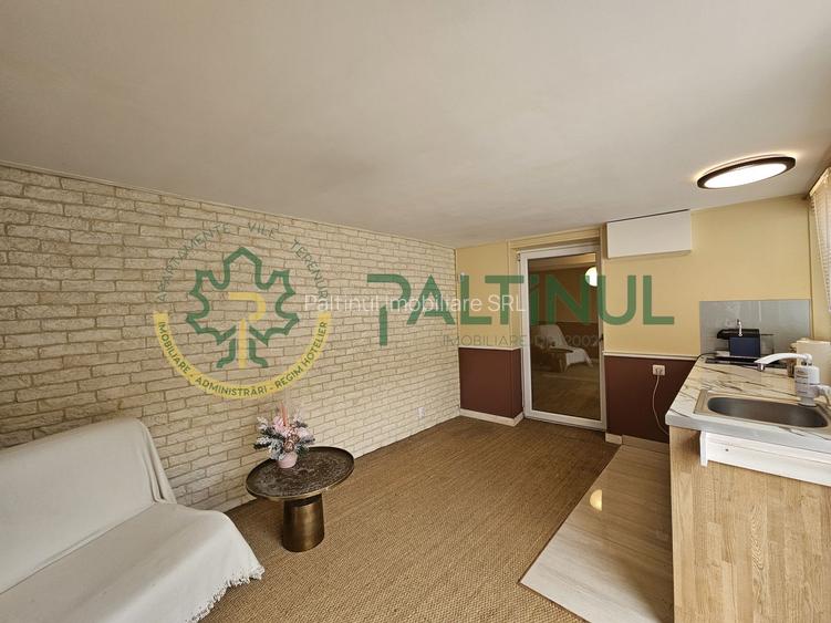 Casă cochetă, complet renovată, în Rășinari, Sibiu - 38