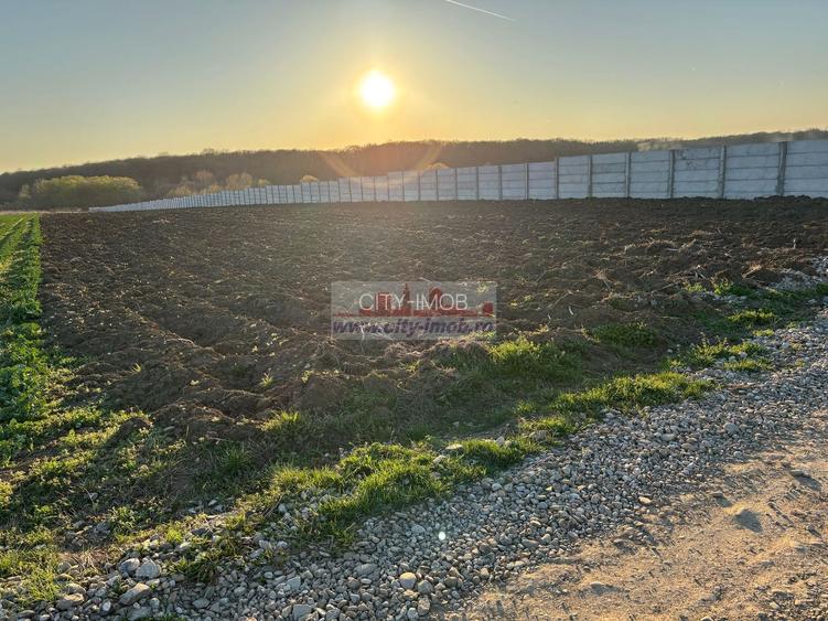 Vanzare teren constructie casa Snagov Sat Izvorani , Jud Ilfov - 3