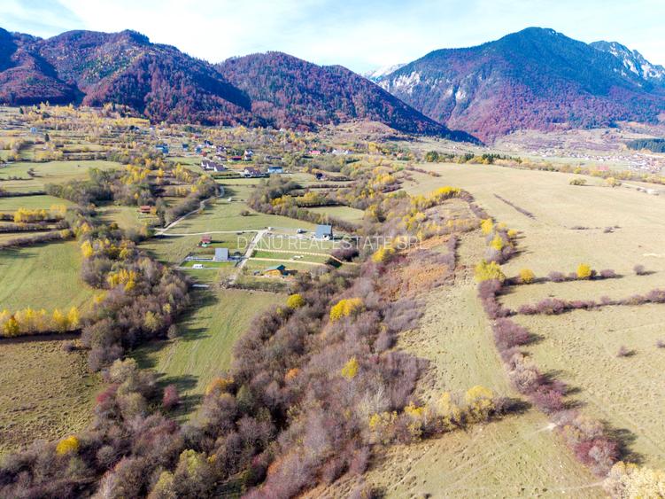 Teren intravilan 2500mp Tohanita Zarnesti- ideal casa de vacanta - 5