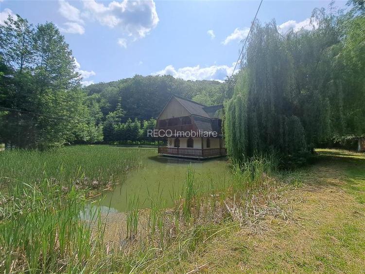 Cabana pe apa in Padurea Neagra - 2