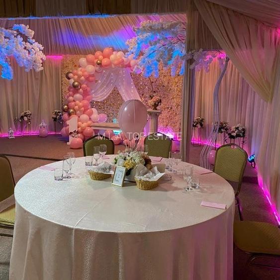 Sala de evenimente de inchiriat Aradul Nou - 3