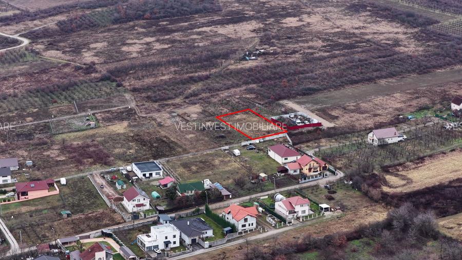 Teren Intravilan, Nicolae Beldiceanu - 4