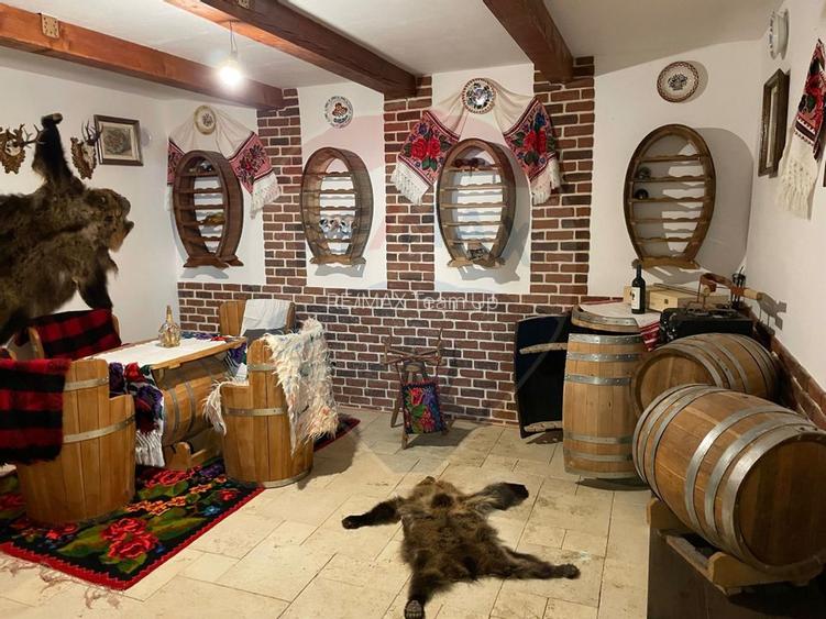 Vilă ultrafinisată cu două unități locative în zona Gruia - 11