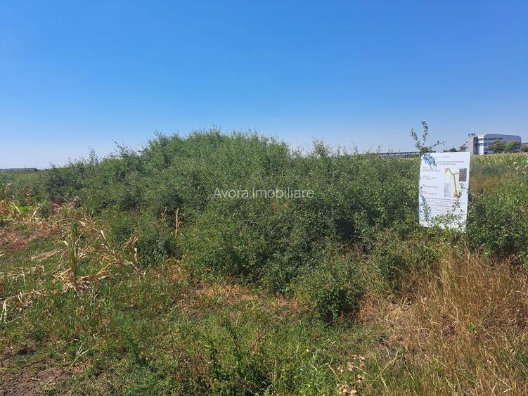 Teren de vanzare – Locatie strategica langa aeroport - 6