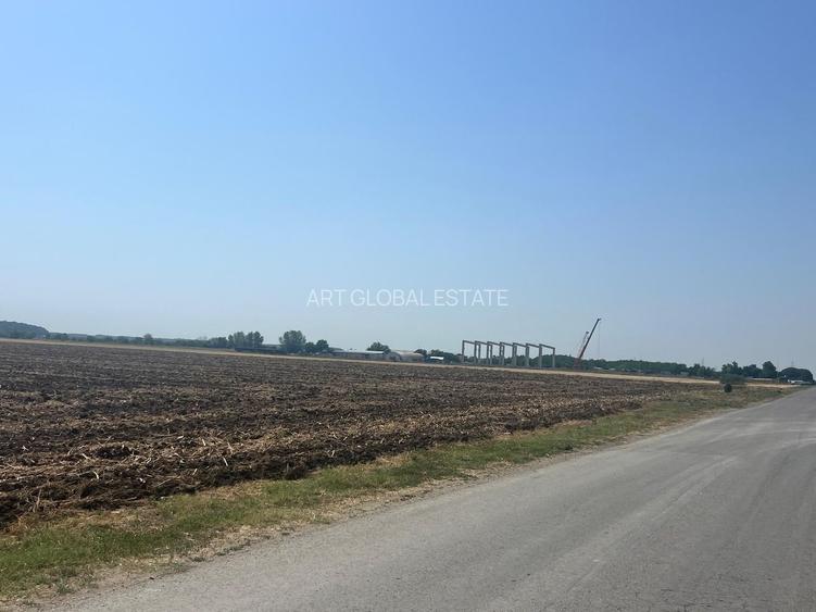 Teren de vanzare Intravilan Caciulati Autostrada A3 Drumul Teilor COMISION 0% - 8