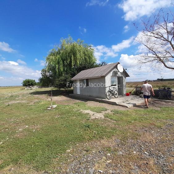 hala si deposit  in Filipesti ,Braila - 2