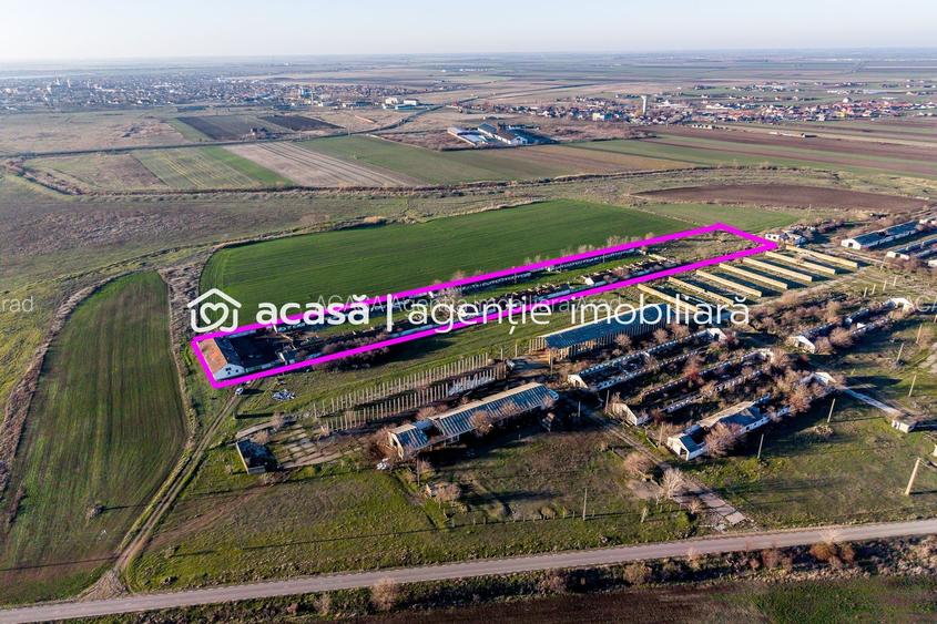NĂDLAC | Teren 1.15 HA lângă Autostradă | 2.500mp Hale - 3
