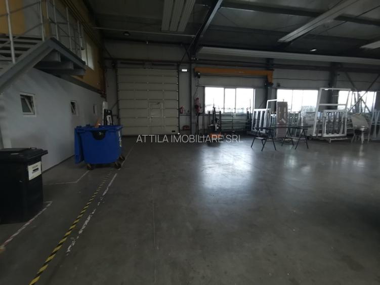 Hala Lugojului 1800 euro+TVA - 5