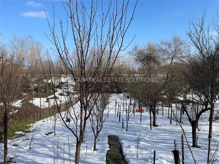 BANEASA - TEREN 976 MP - 3