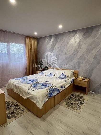 Două case individuale de vânzare în Teliuc –ideale pentru două familii - 3