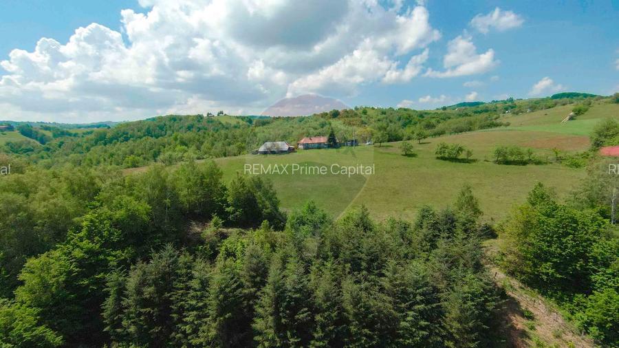 De vânzare casă cu teren și pădure 55706 mp - Șinteu, Valea Târnei - 15