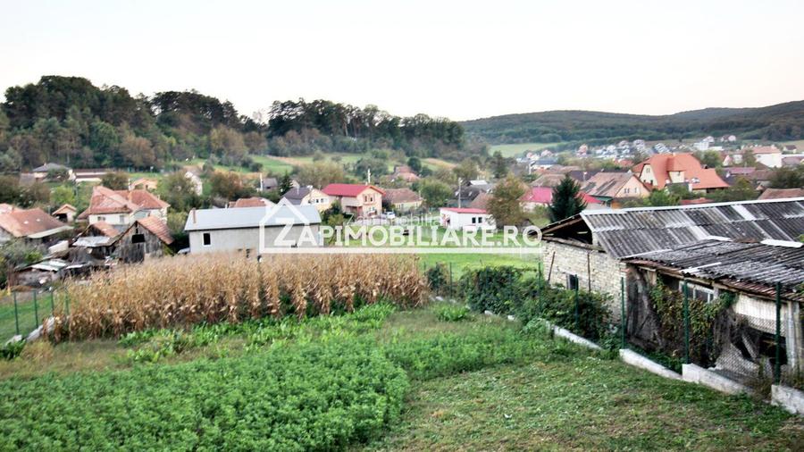 De vanzare 2 case cu 4.900 mp teren, Livezeni 0% comision - 6